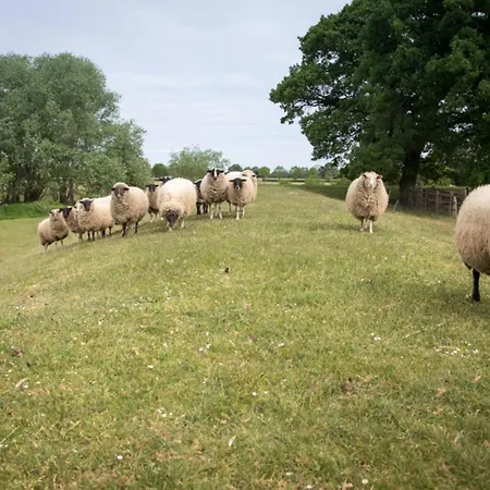 Lejlighed Hof Allerniederung