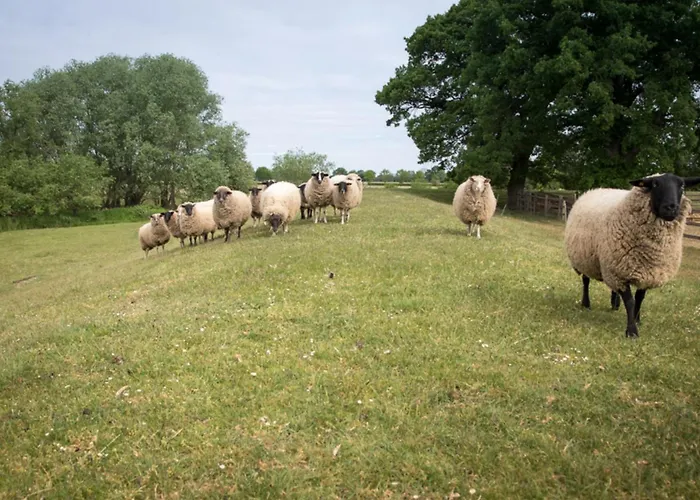 Appartement Hof Allerniederung